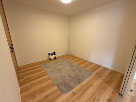 ���r���O�ȊO�̋����@-