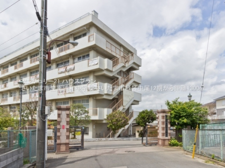 ���ӊ��@-